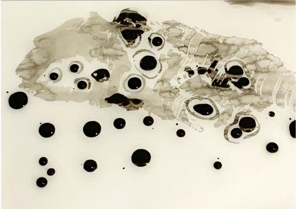 simple ink drawing of cells with grey wash behind.